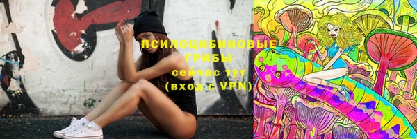 бошки Белокуриха