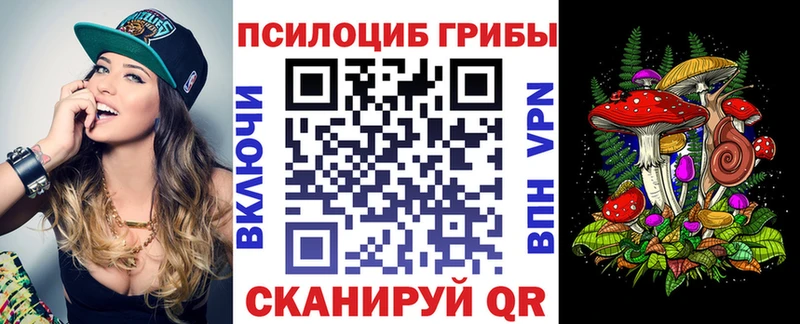 цены наркотик  Волосово  Галлюциногенные грибы MAGIC MUSHROOMS 